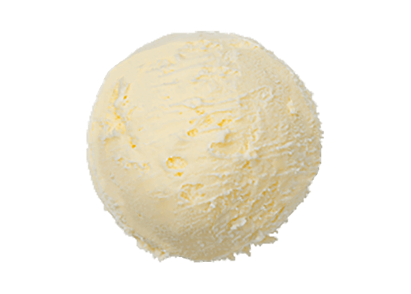 業務用バルクアイス 2L EXバニラ